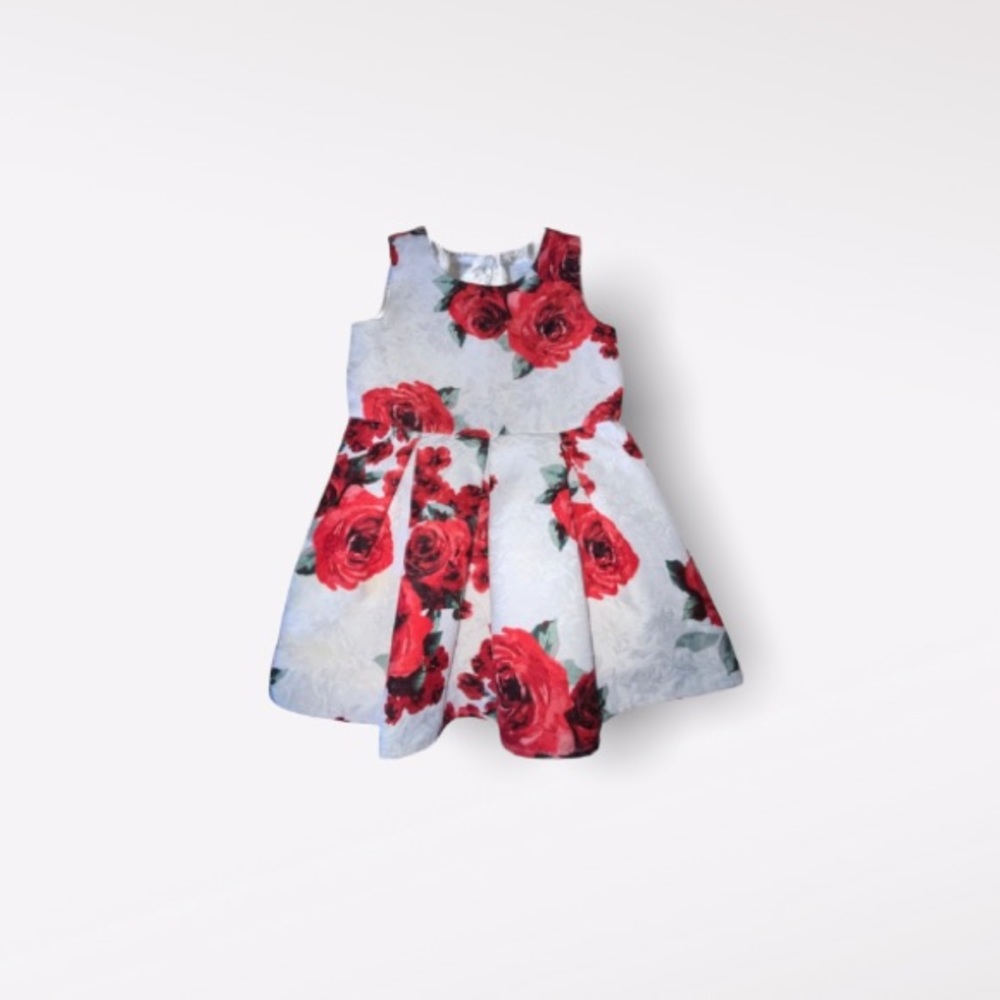 Children’s place Holiday dress size 3T